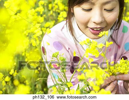 Young woman plucking flowers View Large Photo Image Stock Photograph - Young woman plucking flowers. Fotosearch