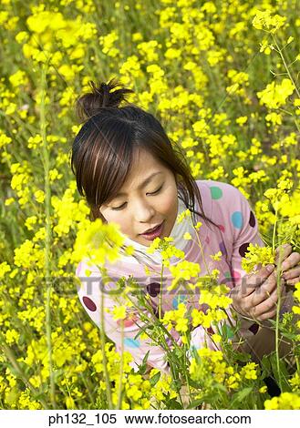 Young woman plucking flowers View Large Photo Image Stock Photography - Young woman plucking flowers. Fotosearch