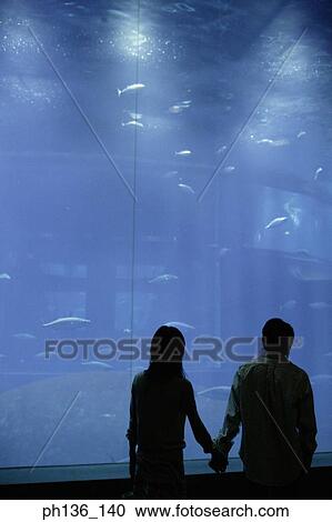 Silhouette of a young couple standing by an aquarium View Large Photo Image Stock Image - Silhouette of a young couple standing by an aquarium. Fotosearch