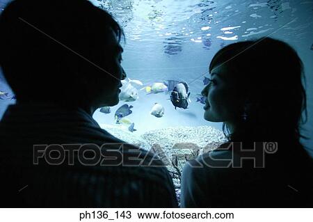 Stock Image - Silhouette of a young couple standing by an aquarium. Fotosearch