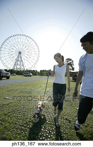 Young couple walking a dog View Large Photo Image Stock Photo - Young couple walking a dog. Fotosearch