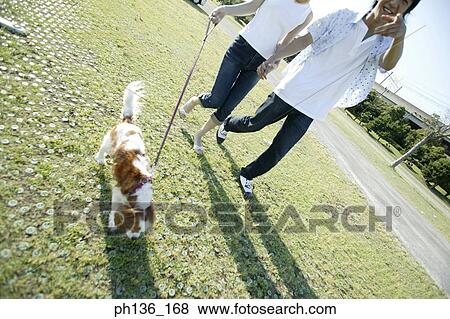 Young couple walking a dog View Large Photo Image Stock Photo - Young couple walking a dog. Fotosearch