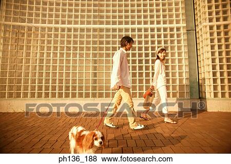 Stock Photo - Young couple walking with a pet dog. Fotosearch