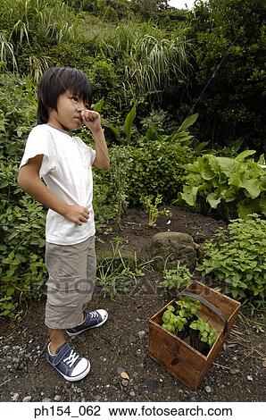 Side profile of a girl standing in a garden View Large Photo Image Stock Image - Side profile of a girl standing in a garden. Fotosearch