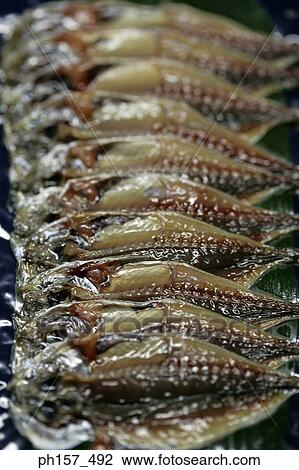 A row of fish on a leaf, close-up View Large Photo Image Stock Image - A row of fish on a leaf, close-up. Fotosearch