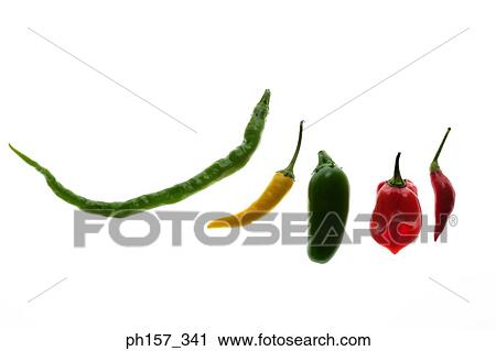 Assortment of chilli View Large Photo Image Stock Image - Assortment of chilli. Fotosearch