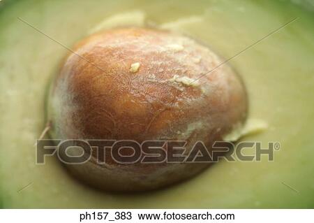 Avocado, close-up View Large Photo Image Stock Image - Avocado, close-up. Fotosearch