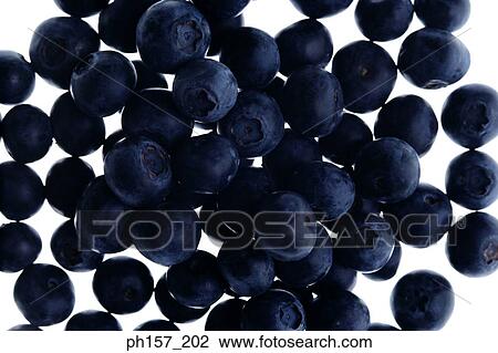 Stock Image - Blueberries. Fotosearch