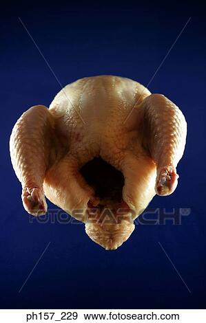 Chicken View Large Photo Image Stock Photo - Chicken. Fotosearch