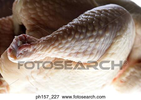 Stock Photo - Chicken thing, close-up. Fotosearch