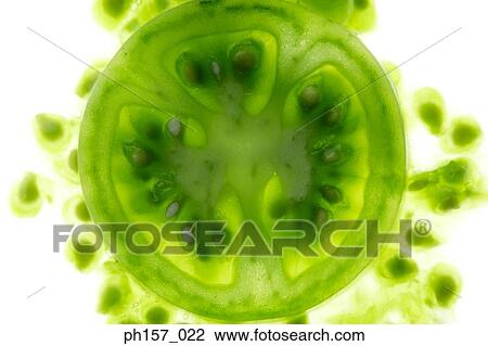 Cross-section of green tomatoe View Large Photo Image Stock Image - Cross-section of green tomatoe. Fotosearch