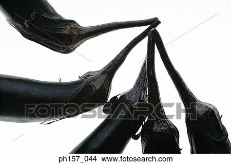 Five brinjals, close-up View Large Photo Image Picture - Five brinjals, close-up. Fotosearch