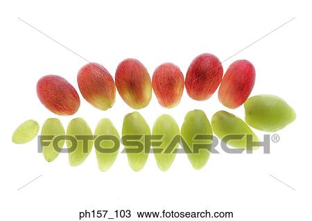 Two rows of grapes View Large Photo Image Stock Image - Two rows of grapes. Fotosearch