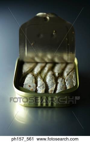 Stock Image - A tin of sardines. Fotosearch