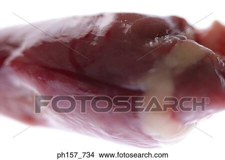Animal's kidney View Large Photo Image Picture - Animal's kidney. Fotosearch