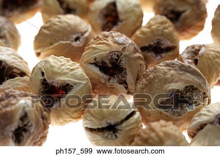 Figs, close-up View Large Photo Image Stock Photo - Figs, close-up. Fotosearch