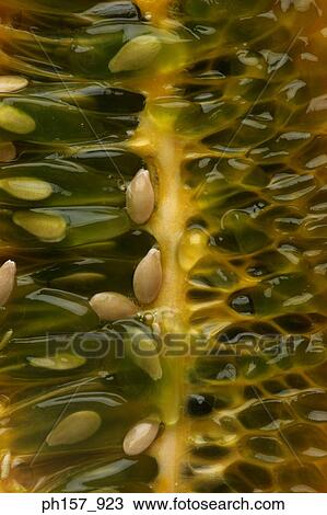 Stock Image - Horned melon or Kiwano fruit, cross section. Fotosearch