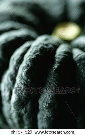 Melon, close-up View Large Photo Image Stock Photo - Melon, close-up. Fotosearch