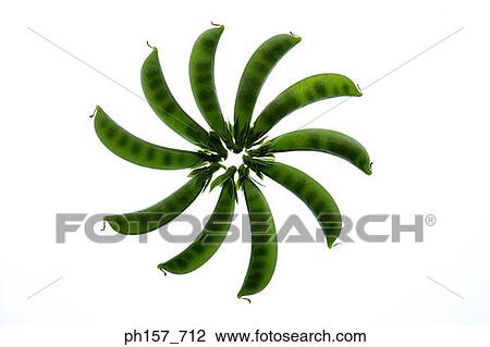 Peas and pods View Large Photo Image Stock Image - Peas and pods. Fotosearch