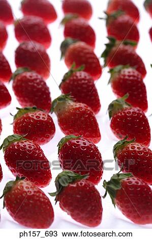 Stock Image - Rows of strawberry. Fotosearch