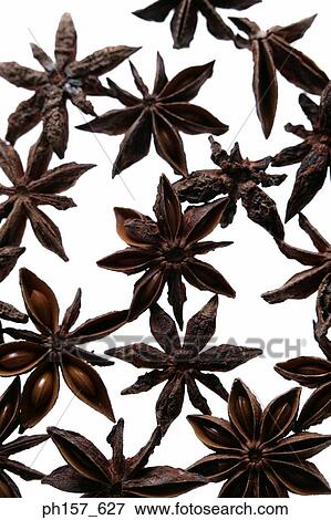 Star Anise View Large Photo Image Stock Photo - Star Anise. Fotosearch