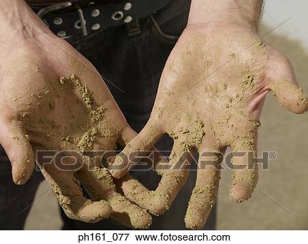 Stock Photo - Palms covered with mud. Fotosearch