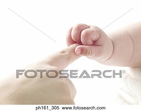Stock Photography - Close-up of an infant's hands touching an adult's fingers. Fotosearch