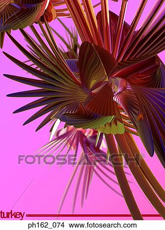 Abstract image of a turkey View Large Photo Image Picture - Abstract image of a turkey. Fotosearch