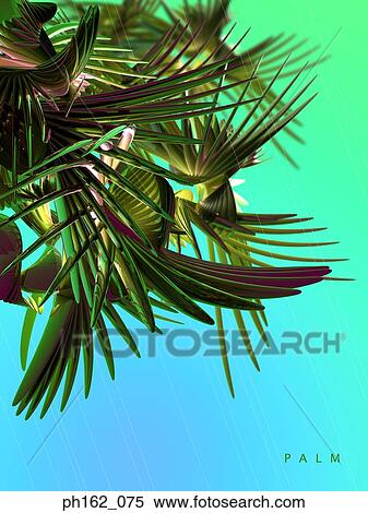 Abstract image of palm tree View Large Photo Image Stock Photography - Abstract image of palm tree. Fotosearch