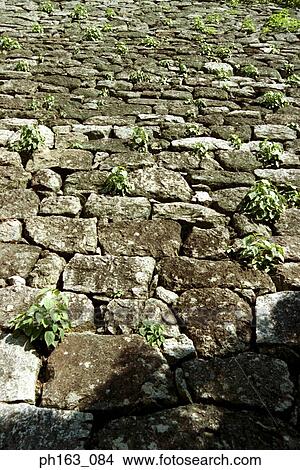 Cobblestone walkway View Large Photo Image Picture - Cobblestone walkway. Fotosearch
