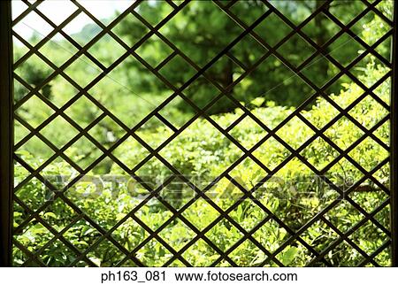 View of lush foliage through a fence View Large Photo Image Stock Image - View of lush foliage through a fence. Fotosearch