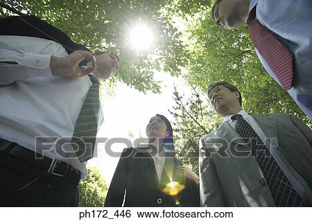 Group of executive standing in park, low angle view View Large Photo Image Stock Photograph - Group of executive standing in park, low angle view. Fotosearch