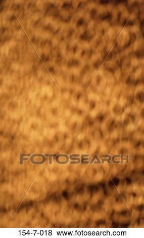 Focus, Backgrounds, Blur, Casino, Focus, Neon, Out View Large Photo Image Stock Photo - Focus, Backgrounds, Blur, Casino, Focus, Neon, Out. Fotosearch
