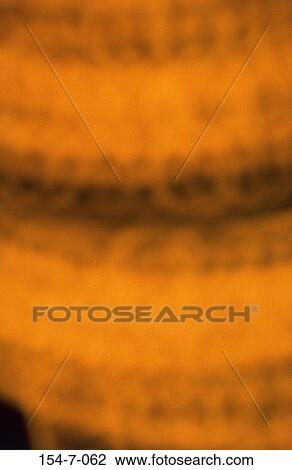 Life, Blur, Casino, Light, Sign, Blurred View Large Photo Image Stock Image - Life, Blur, Casino, Light, Sign, Blurred. Fotosearch