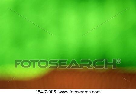 , Life, Focus, Bright, Night, Sign, Blurred View Large Photo Image Stock Photography - , Life, Focus, Bright, Night, Sign, Blurred. Fotosearch