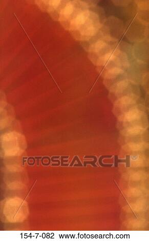 Light, Blurred, Neon, Bright, Out, Blur View Large Photo Image Stock Image - Light, Blurred, Neon, Bright, Out, Blur. Fotosearch