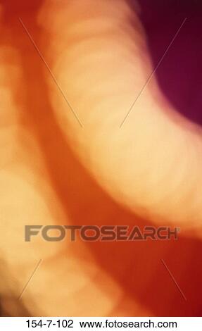Stock Image - Light, Neon, Focus, Soft, Blur, Lights. Fotosearch