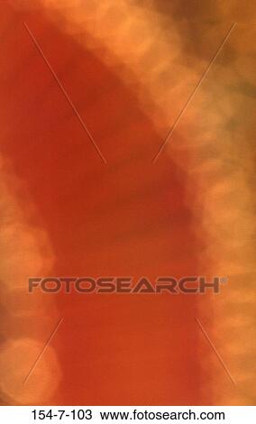 , Out, Light, Blur, Sign, Neon, Lights View Large Photo Image Stock Image - , Out, Light, Blur, Sign, Neon, Lights. Fotosearch