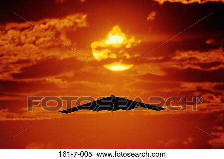 Military, Sky, Airplanes, Outdoors, Planes, USA, Airplane View Large Photo Image Stock Photography - Military, Sky, Airplanes, Outdoors, Planes, USA, Airplane. Fotosearch