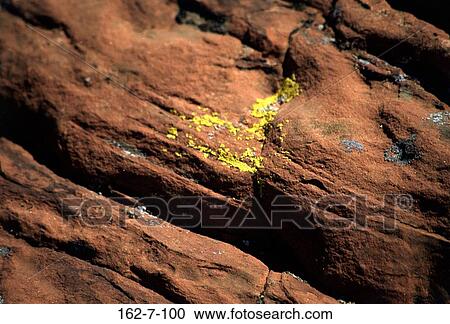Background, Sandstone, Nature, Rock, Textures, Backgrounds, Desert View Large Photo Image Stock Image - Background, Sandstone, Nature, Rock, Textures, Backgrounds, Desert. Fotosearch