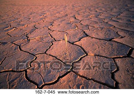 Backgrounds, Desert, Cracks, Background, Earth, Desert, Cracked View Large Photo Image Stock Photography - Backgrounds, Desert, Cracks, Background, Earth, Desert, Cracked. Fotosearch