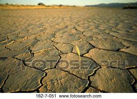 Cracks, Desert, Backgrounds, Background, Dirt, Earth View Large Photo Image Stock Image - Cracks, Desert, Backgrounds, Background, Dirt, Earth. Fotosearch