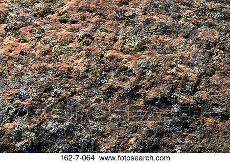 Desert, Backgrounds, Background, Textures, Desert, Lichen, Rock View Large Photo Image Picture - Desert, Backgrounds, Background, Textures, Desert, Lichen, Rock. Fotosearch