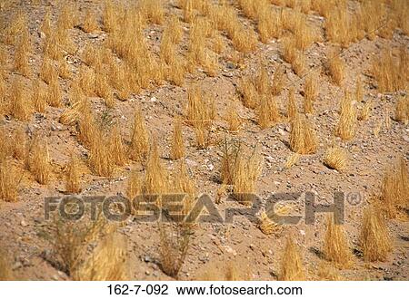 Desert, Nature, Dirt, Backgrounds, Earth, Background, Textures View Large Photo Image Stock Image - Desert, Nature, Dirt, Backgrounds, Earth, Background, Textures. Fotosearch