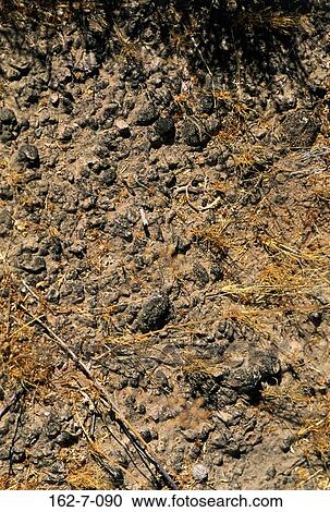 Stock Image - Desert, Textures, Background, Backgrounds, Mud, Nature, Dirt. Fotosearch