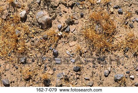 Earth, Background, Nature, Mud, Sand, Textures, Backgrounds View Large Photo Image Stock Photo - Earth, Background, Nature, Mud, Sand, Textures, Backgrounds. Fotosearch