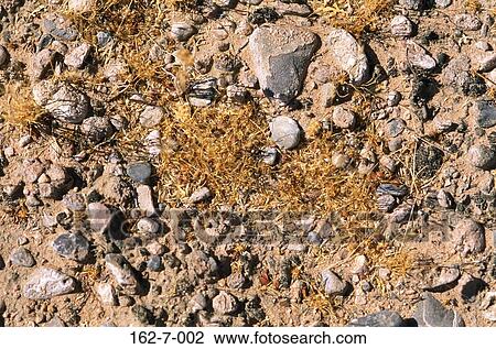 Rock, Background, Backgrounds, Desert, Nature, Stone, Textures View Large Photo Image Stock Image - Rock, Background, Backgrounds, Desert, Nature, Stone, Textures. Fotosearch