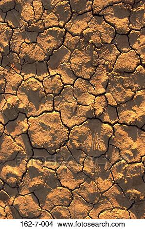 Textures, Mud, Earth, Nature, Cracked, Desert, Backgrounds View Large Photo Image Picture - Textures, Mud, Earth, Nature, Cracked, Desert, Backgrounds. Fotosearch