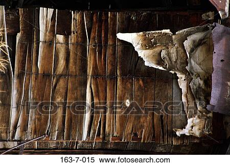 Grain, Wood, Backgrounds, Rustic, Wall, Texture, Background View Large Photo Image Stock Photography - Grain, Wood, Backgrounds, Rustic, Wall, Texture, Background. Fotosearch