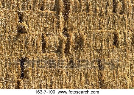 Rustic, Hay, Backgrounds, Texture, Nature, Textures, Rustic View Large Photo Image Stock Image - Rustic, Hay, Backgrounds, Texture, Nature, Textures, Rustic. Fotosearch